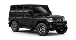 Commercial & Fleet Vehicles